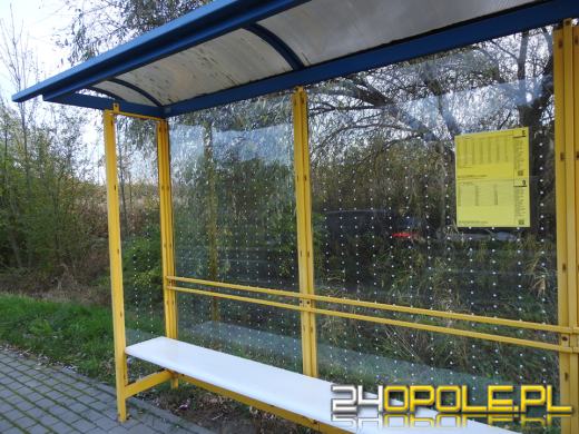 Zabezpieczają szyby, by ptaki mogły żyć