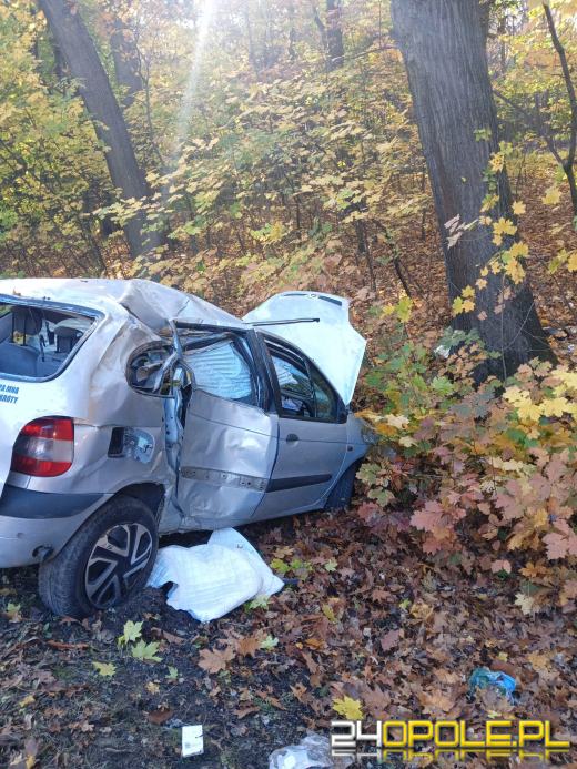 Wypadek na trasie Łambinowice-Szadurczyce. Jedna osoba przewieziona do szpitala