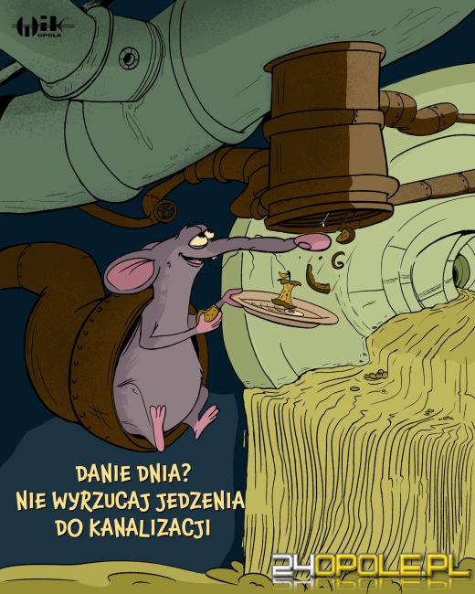 Tego nie można spuszczać w toalecie! WIK zwraca uwagę na globalny problem