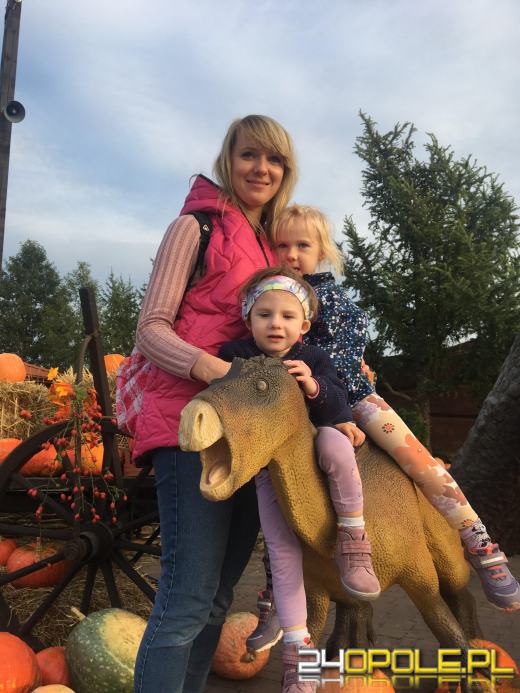 22 listopada Krakowska w Opolu zaświeci na czerwono