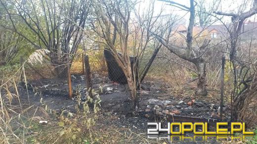 Po ugaszeniu pożaru altanki znaleziono ciało 