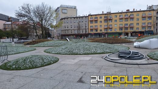 Trwa nasadzanie drzew na Placu Dworcowym