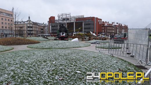 Trwa nasadzanie drzew na Placu Dworcowym