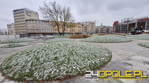 Trwa nasadzanie drzew na Placu Dworcowym