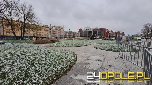 Trwa nasadzanie drzew na Placu Dworcowym