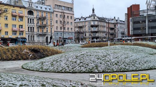 Trwa nasadzanie drzew na Placu Dworcowym