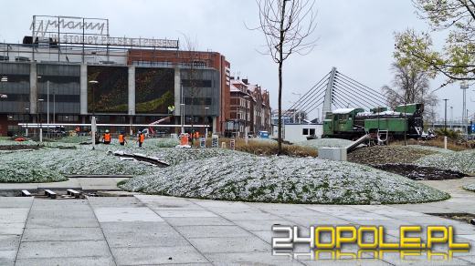 Trwa nasadzanie drzew na Placu Dworcowym