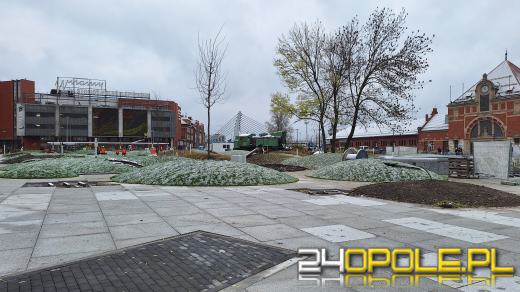 Trwa nasadzanie drzew na Placu Dworcowym