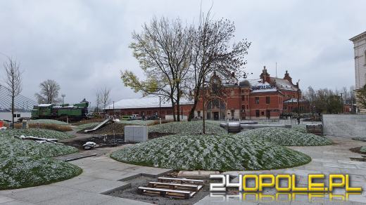 Trwa nasadzanie drzew na Placu Dworcowym