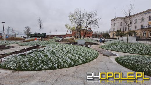 Trwa nasadzanie drzew na Placu Dworcowym