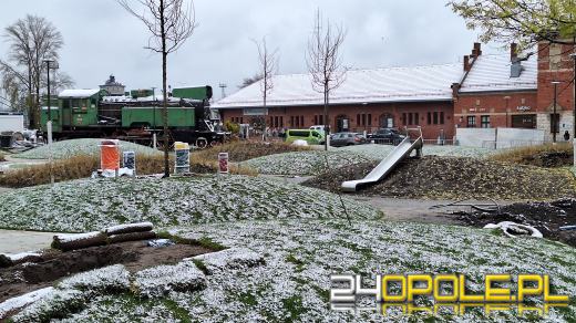 Trwa nasadzanie drzew na Placu Dworcowym