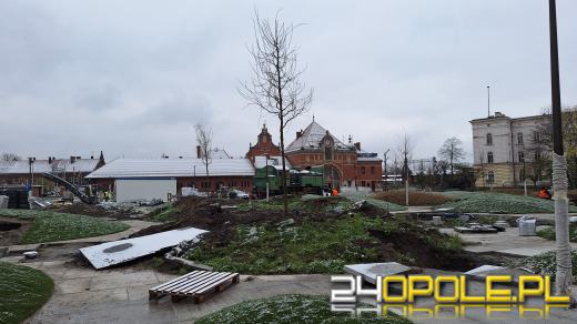 Trwa nasadzanie drzew na Placu Dworcowym