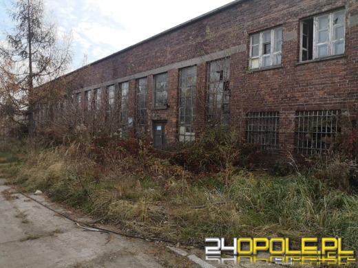 O chemikaliach w Kędzierzynie wiadomo od lat. Prokuratura prowadzi śledztwo