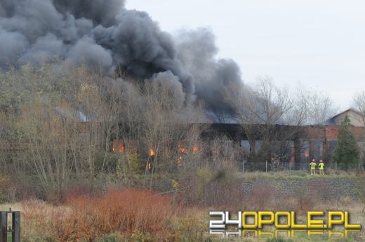 O chemikaliach w Kędzierzynie wiadomo od lat. Prokuratura prowadzi śledztwo