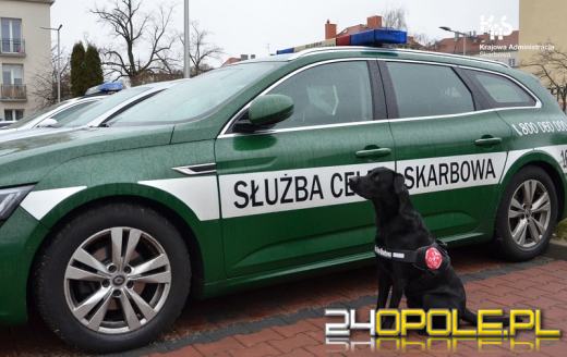 Marihuana w torbie podróżnej pasażera busa jadącego autostradą A4