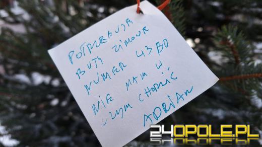 Choinka Życzeń znów przed Talentownią. Można pomóc dzieciom i seniorom