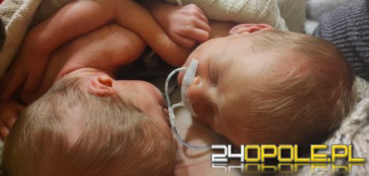 Potrójne szczęście w Opolu. Na świat przyszły wyczekiwane trojaczki