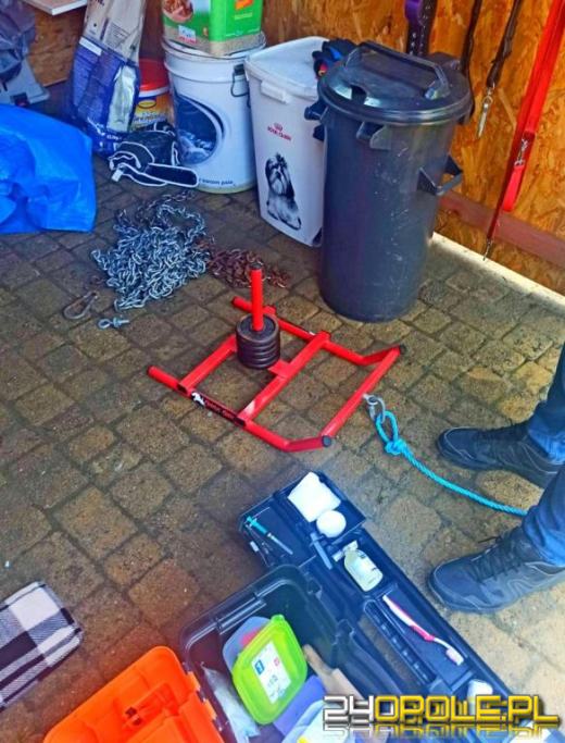 3 lata więzienia dla organizatora walk psów. Zapadł wyrok w głośnej sprawie