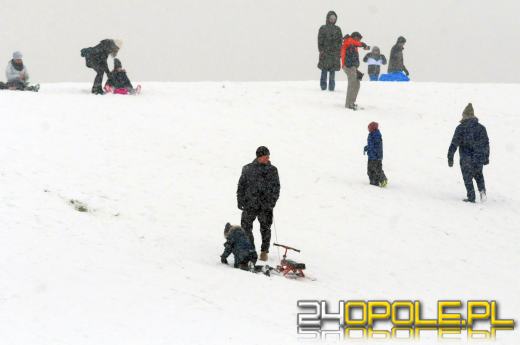 Zimowe szaleństwo w Opolu. Dzieci wyciągnęły sanki