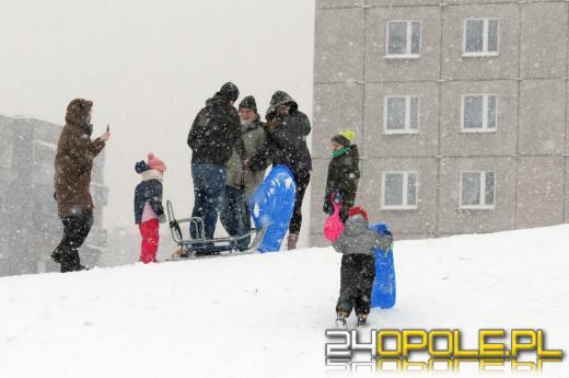 Zimowe szaleństwo w Opolu. Dzieci wyciągnęły sanki