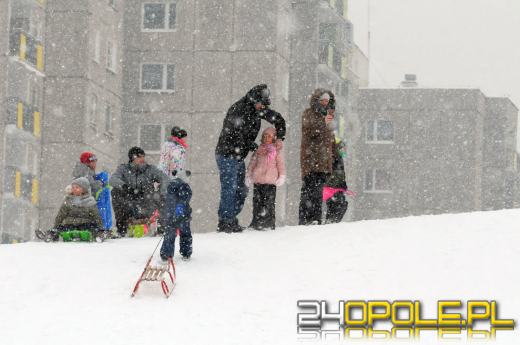 Zimowe szaleństwo w Opolu. Dzieci wyciągnęły sanki