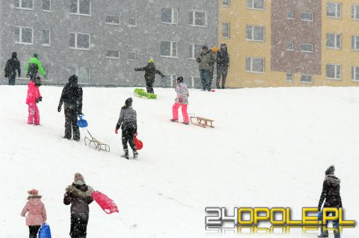 Zimowe szaleństwo w Opolu. Dzieci wyciągnęły sanki