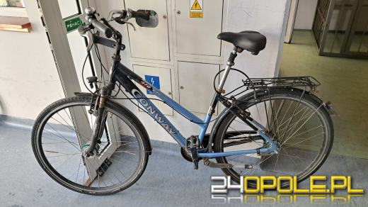 Kolejna dziupla z kradzionymi rowerami zlikwidowana