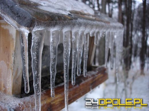 Pogoda się zmieni. Co nas czeka w nadchodzących dniach? 