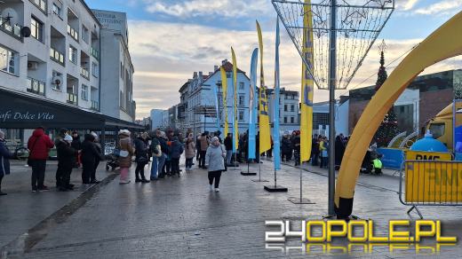 Tłumy w kolejce po choinkę od RMF!