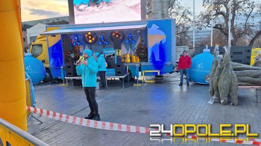Tłumy w kolejce po choinkę od RMF!