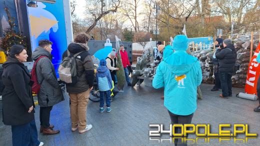 Tłumy w kolejce po choinkę od RMF!