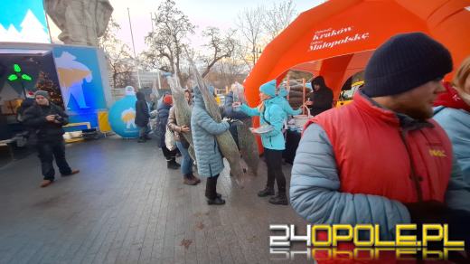 Tłumy w kolejce po choinkę od RMF!