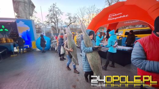 Tłumy w kolejce po choinkę od RMF!