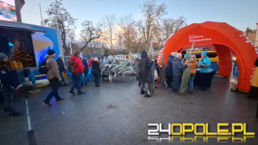 Tłumy w kolejce po choinkę od RMF!