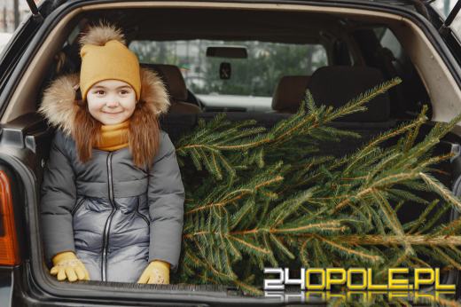  Jak bezpiecznie przewieźć choinkę, aby uniknąć mandatu?