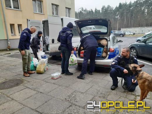 Policjanci z pomocą porzuconym zwierzakom