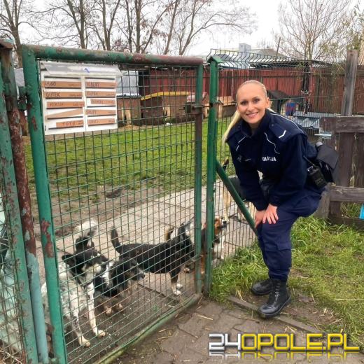 Policjanci z pomocą porzuconym zwierzakom