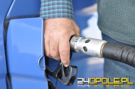 Prognoza cen paliw w okresie przedświatecznym