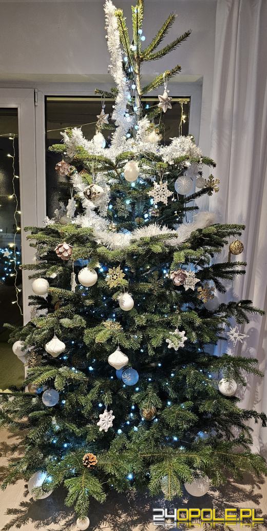 Od podłaźniczki do choinki. Ewolucja polskich tradycji Bożonarodzeniowych