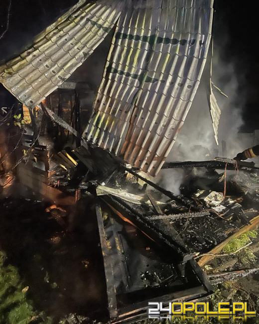 Pożar domku letniskowego w Mechnicy