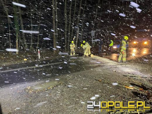  Burzliwa noc województwa opolskiego - Orkan Pia nadal wstrząsa regionem