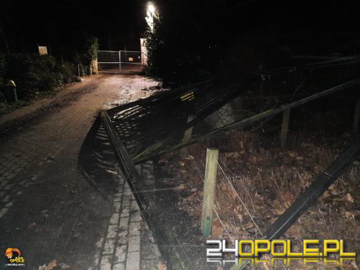 Staranował bramę opolskiego zoo. Kierowca był pijany