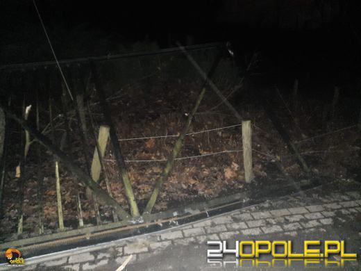 Staranował bramę opolskiego zoo. Kierowca był pijany