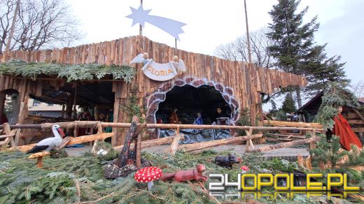 Piękna szopka w Opolu-Szczepanowicach gotowa. Można ją podziwiać w całej okazałości