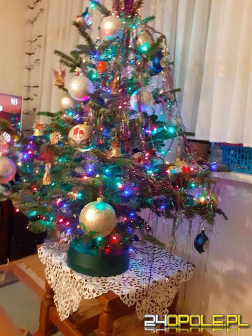 Choinki Czytelników zachwycają! Sprawdźcie sami