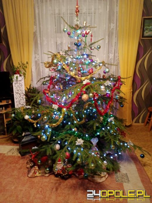 Choinki Czytelników zachwycają! Sprawdźcie sami
