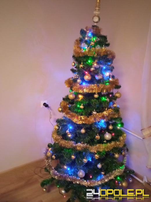 Choinki Czytelników zachwycają! Sprawdźcie sami