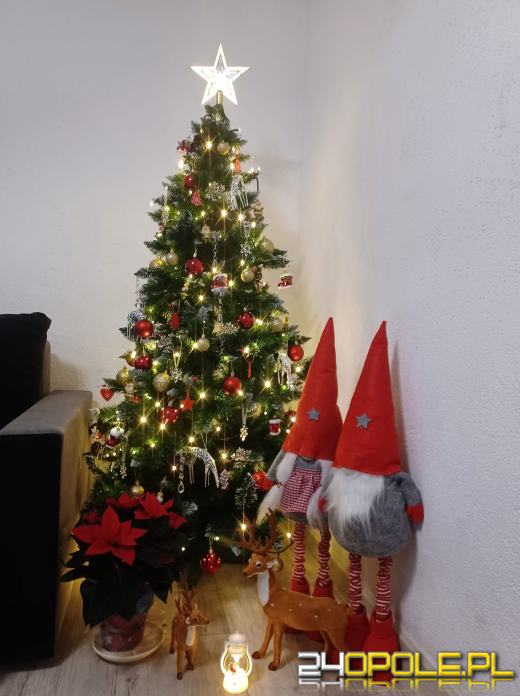 Choinki Czytelników zachwycają! Sprawdźcie sami