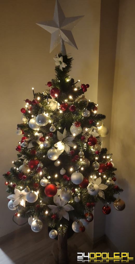Choinki Czytelników zachwycają! Sprawdźcie sami