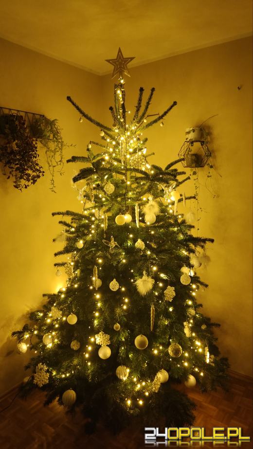 Choinki Czytelników zachwycają! Sprawdźcie sami